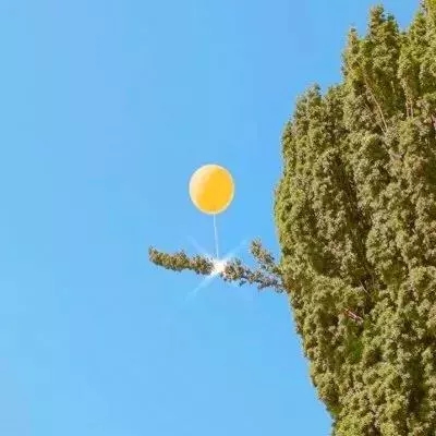 安博体育的最新版本