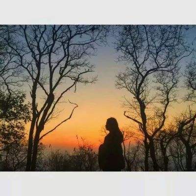 开元ky888vip下载手机版