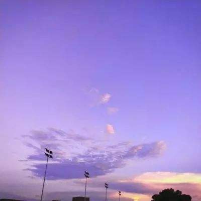 Bsport体育手机在线登录入口