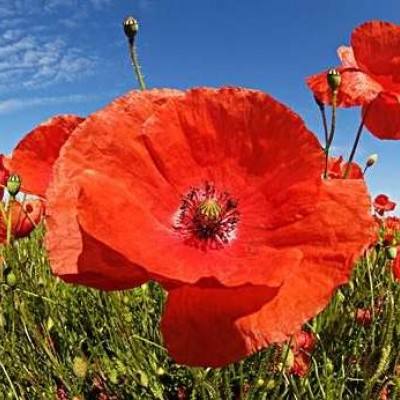 Kaiyun·体育(全站)登陆入口官方网站登录入口