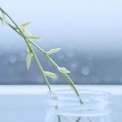 澳门第一娱乐娱城官网下载手机版